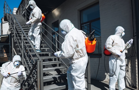 mold mitigation technicians