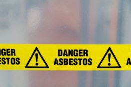 Asbestos Abatement Contractor